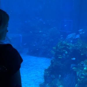 Meet your Posher, Catherine